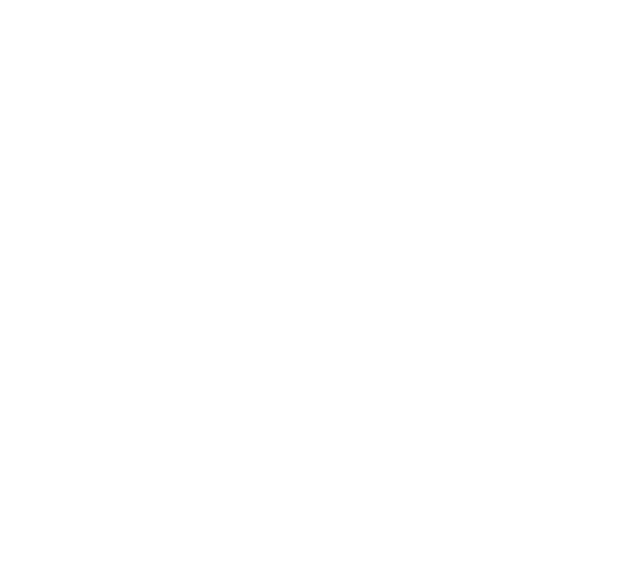 São Geraldo Segurança