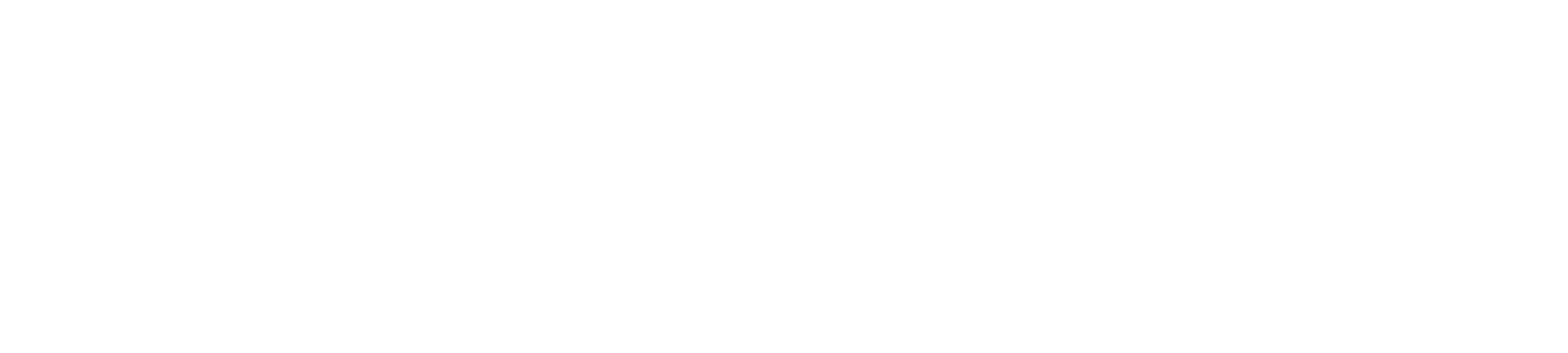 Dywidag Dywidag